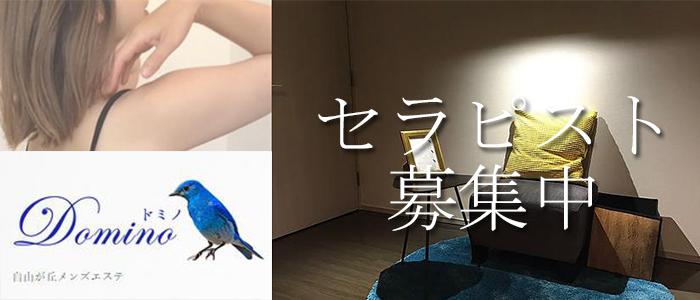 東京メンズエステ自由が丘・奥沢 のおすすめメンズエステDominoのバナー画像