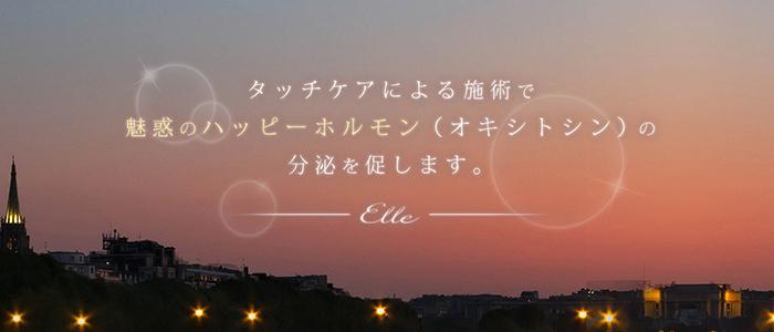 名古屋メンズエステElle エルのバナー画像