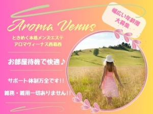 東京メンズエステAROMA VENUSのサブ画像3