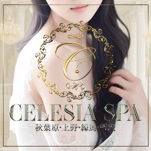 東京メンズエステCELESIA SPA　秋葉原　錦糸町　池袋のバナー画像